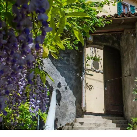Wisteria House *