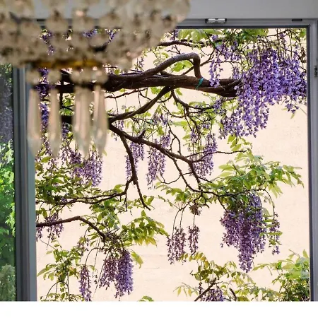 アパート Wisteria House