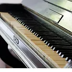Wisteria House