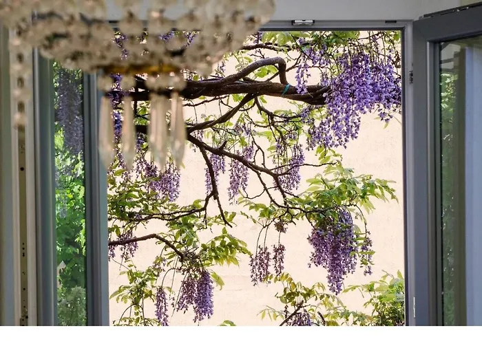 Διαμέρισμα Wisteria House